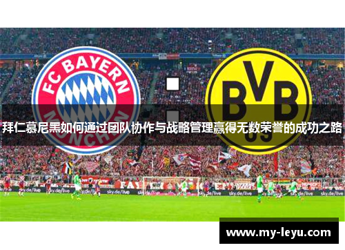 拜仁慕尼黑如何通过团队协作与战略管理赢得无数荣誉的成功之路