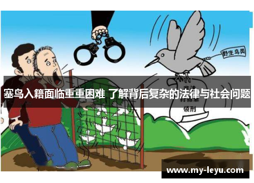 塞鸟入籍面临重重困难 了解背后复杂的法律与社会问题