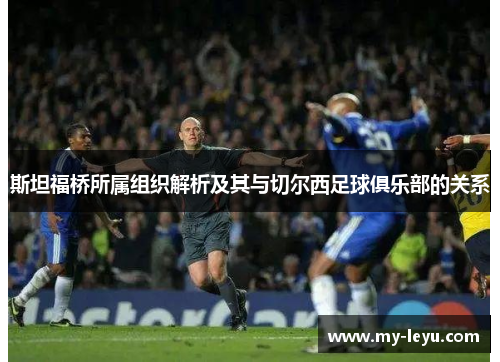 斯坦福桥所属组织解析及其与切尔西足球俱乐部的关系