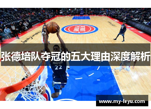 张德培队夺冠的五大理由深度解析